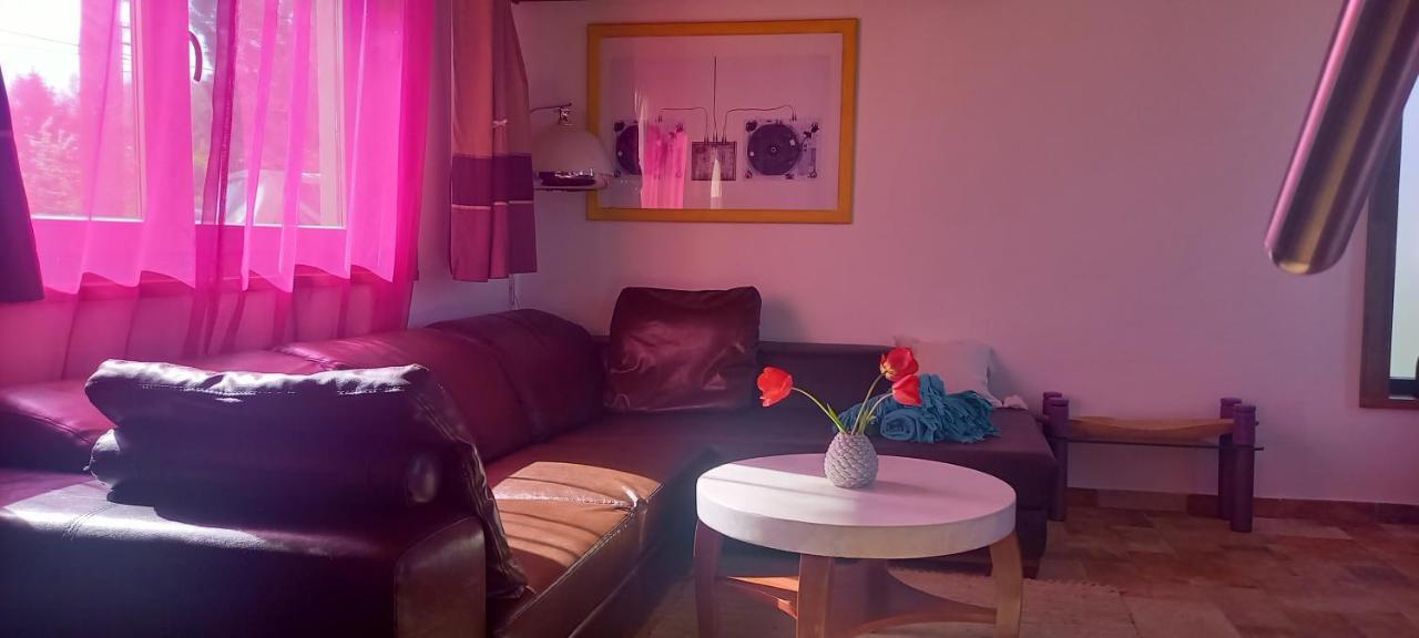 Két Puli Vendégház Bekescsaba Esterno foto