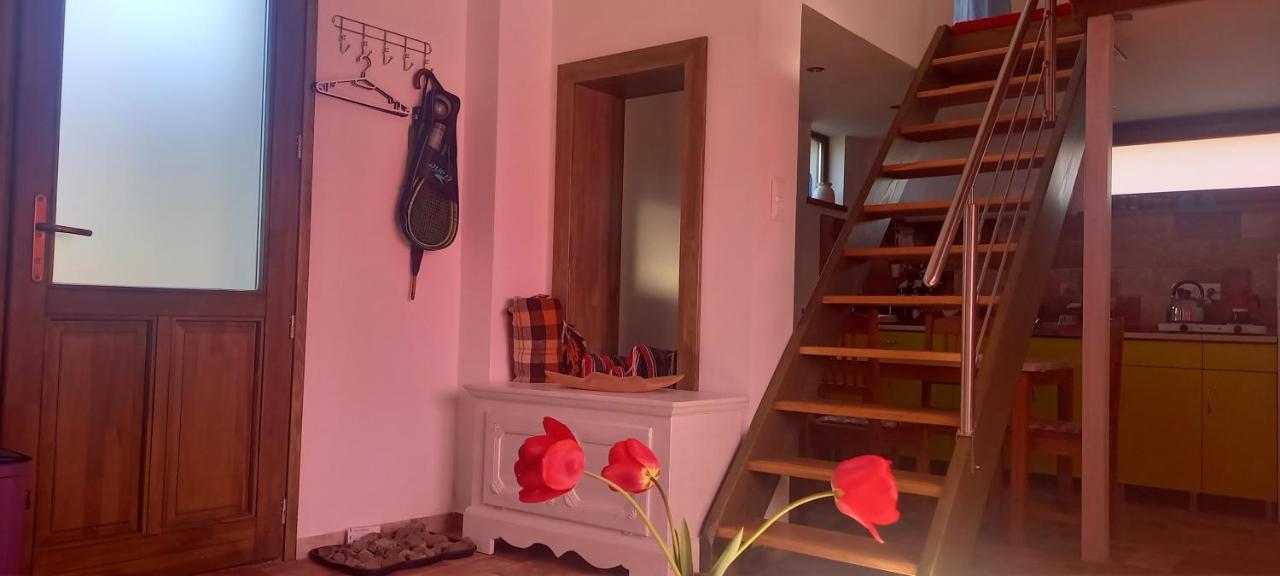 Két Puli Vendégház Bekescsaba Esterno foto