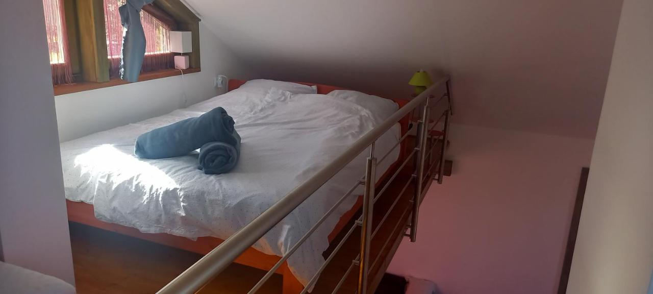 Két Puli Vendégház Bekescsaba Esterno foto