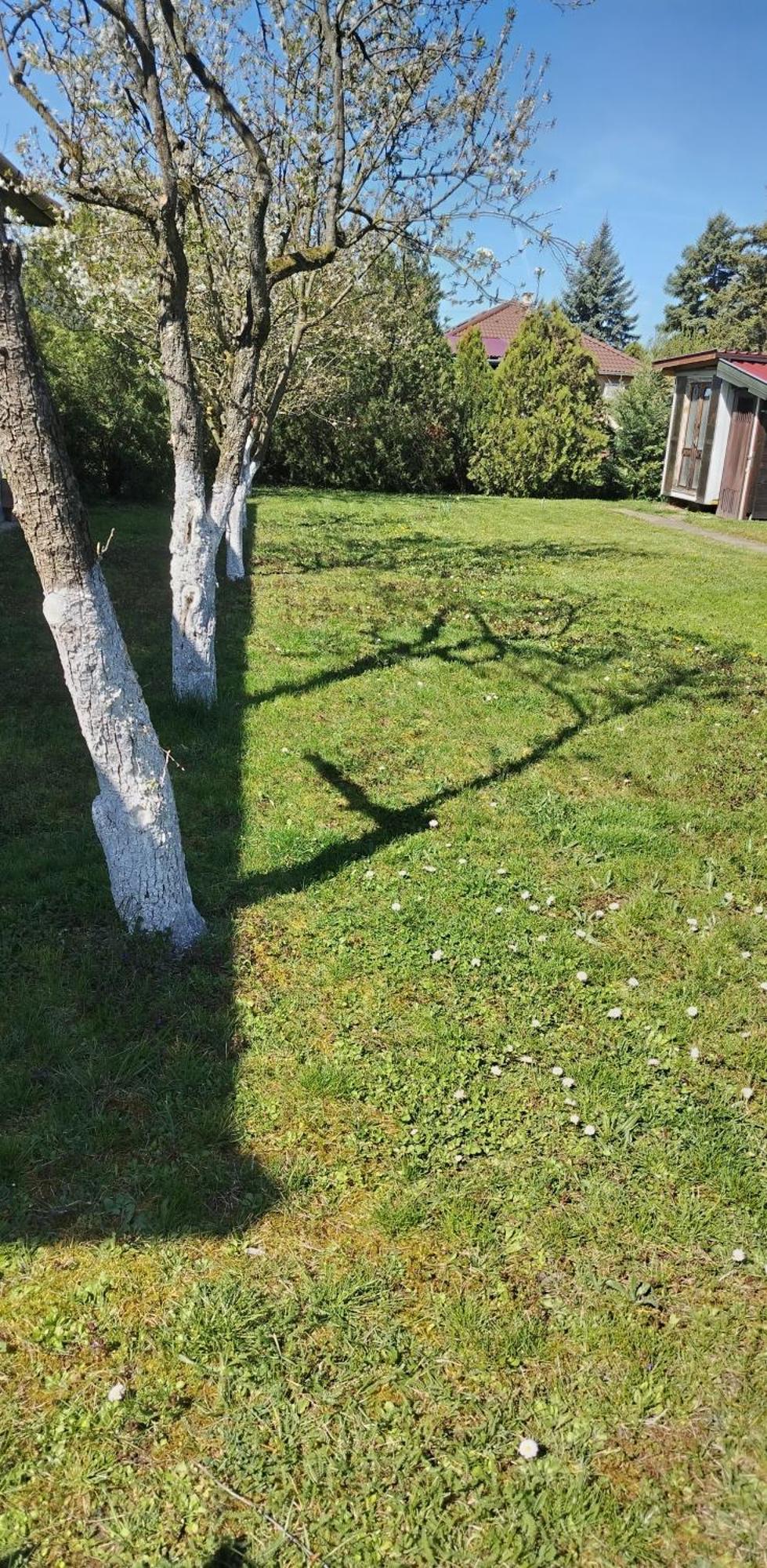 Két Puli Vendégház Bekescsaba Esterno foto